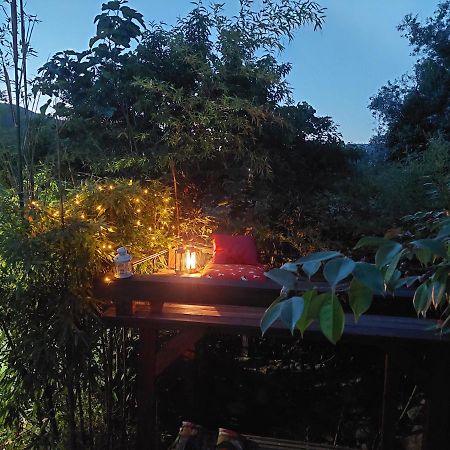 Sotam Country House Góis Zewnętrze zdjęcie